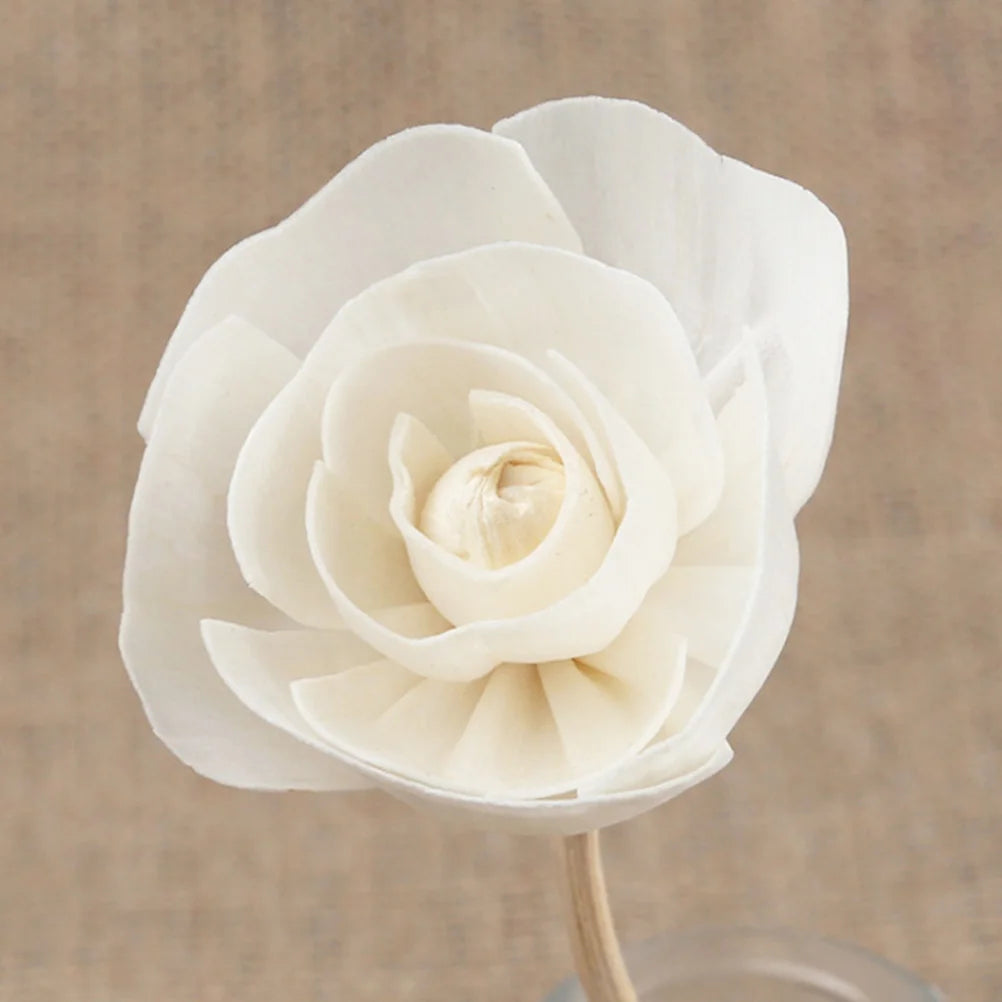 9 Pcs Aromatherapy Rattan Flower Essential Oil Diffuser Wedding Sticks for Car Household Wooden Room Dried Rods