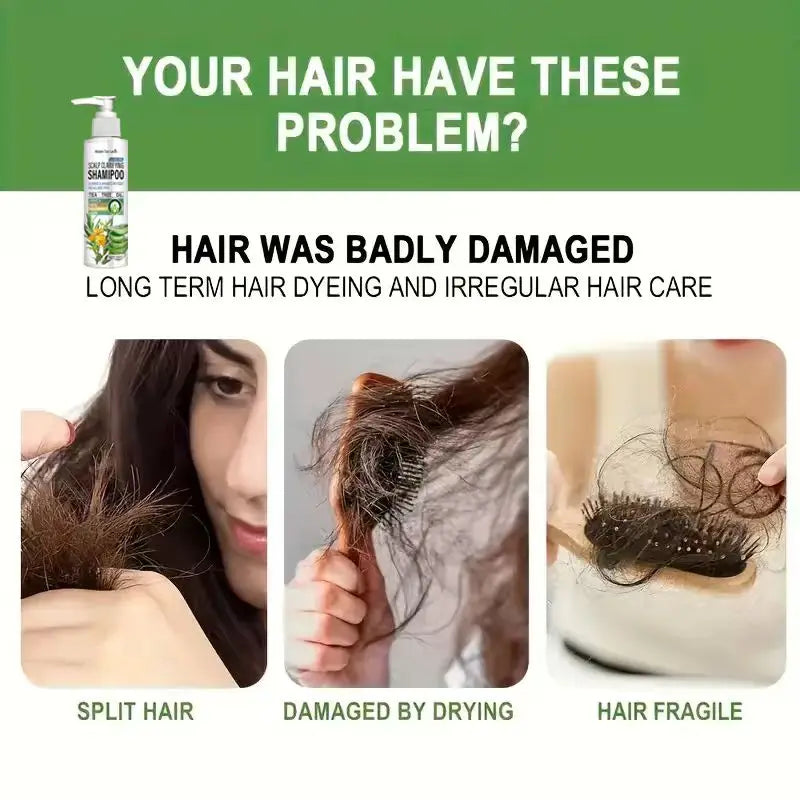Water Ice Levin Sulfate-Free Scalp Clarifying Shampoo with Tea Tree Oil & Aloe – Hydrates Dry Scalp, Shines for All Hair Types