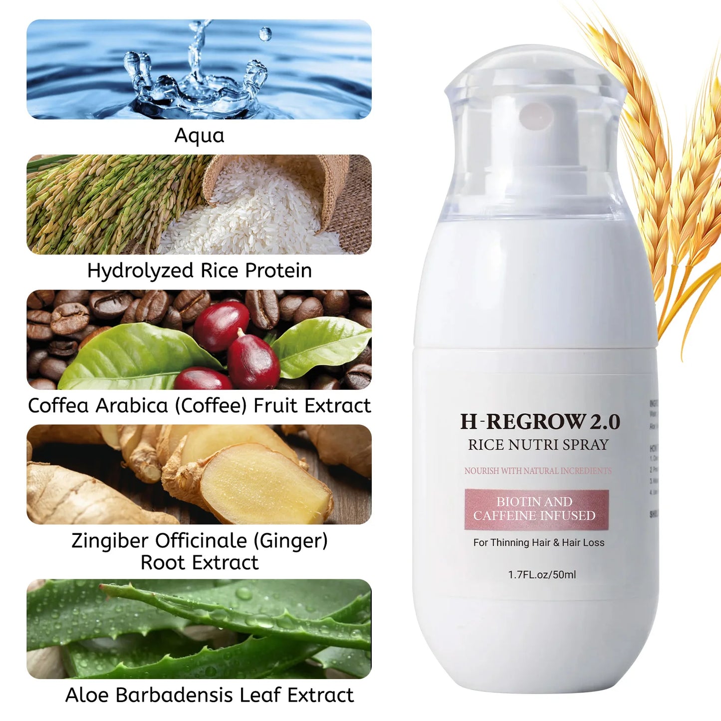 Fermented Rice Water for Hair Growth Hair Regrowth Essential Oil Scalp Treatment Hair Fall Control Serum Plant Dense Hair Spray